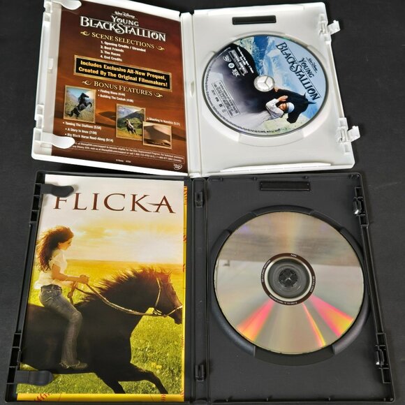 Young Black Stallion & Flicka DVD Set Horse Lovers Family Movies VGUC - Picture 3 of 4